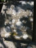 image of grave number 787490